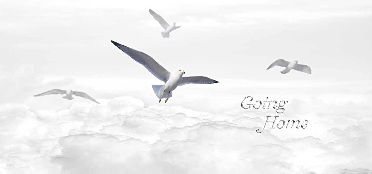 Going Home Clouds Birds Silver White